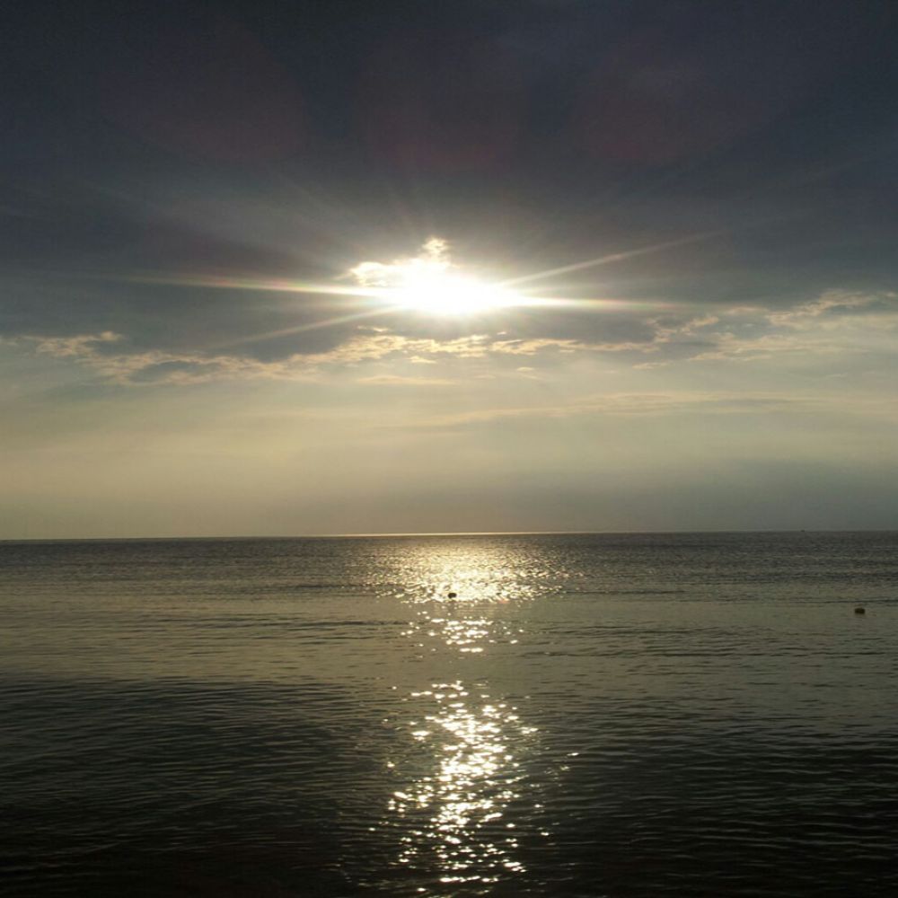 주변전경