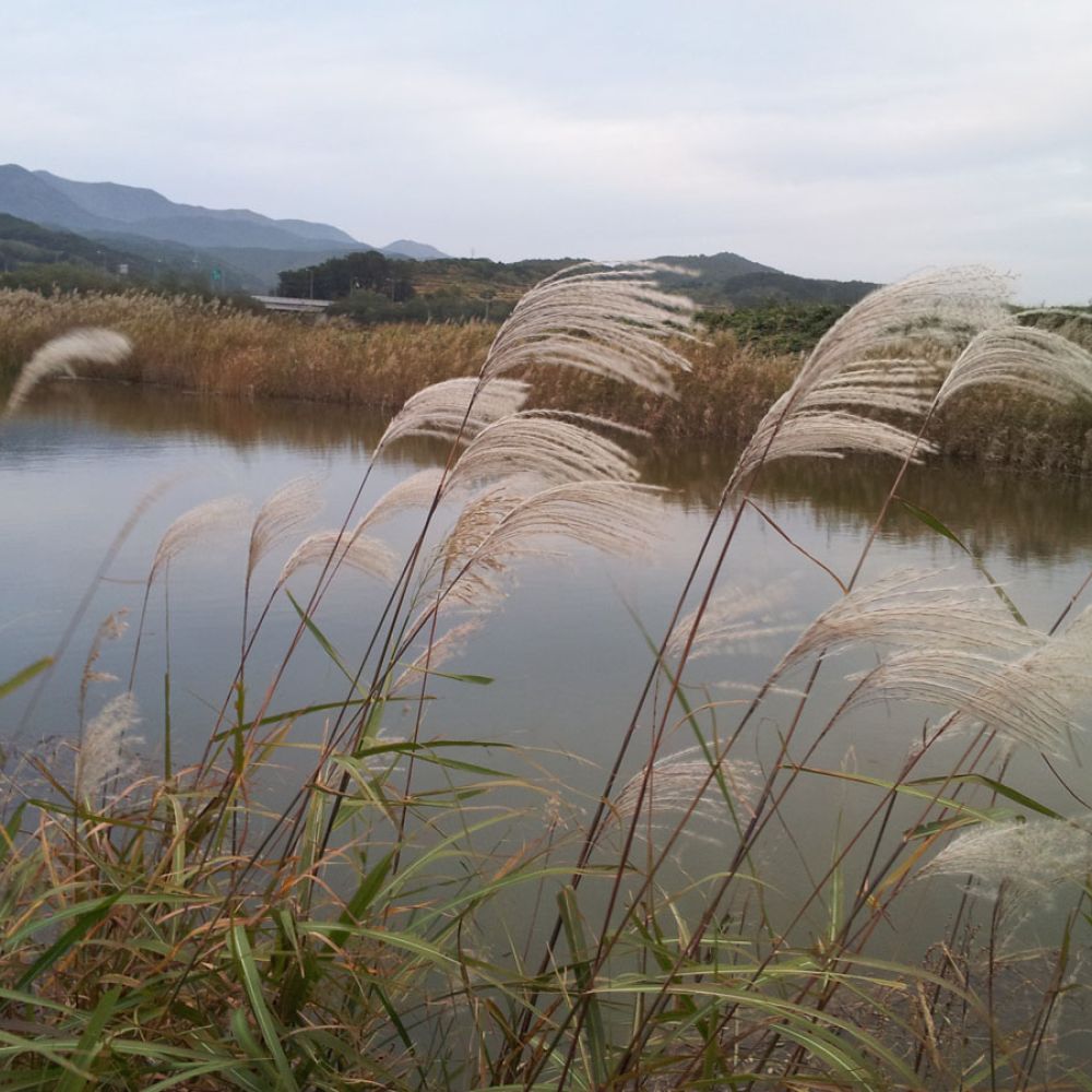 주변전경