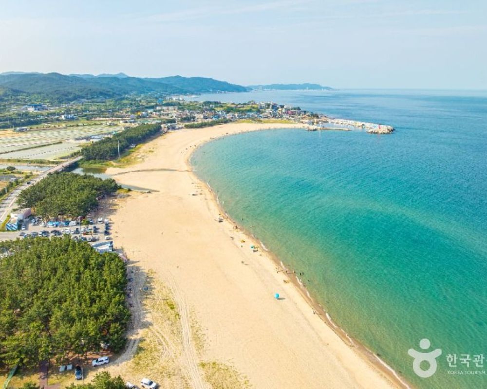 고래불해수욕장